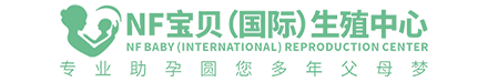 青竹网